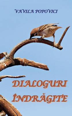 Book cover for Dialoguri Indragite