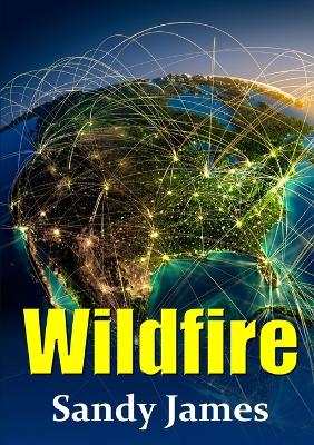 Book cover for Wildfire