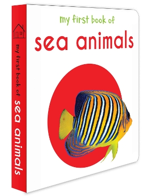 Book cover for My First Book of Sea Animals