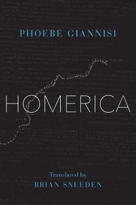 Book cover for Homerica