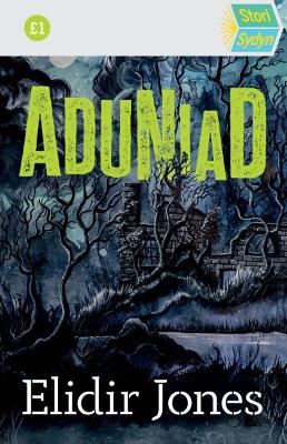 Book cover for Stori Sydyn: Aduniad