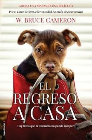Cover of Razon de Estar Contigo, La. El Regreso a Casa (Movie Tie-In)