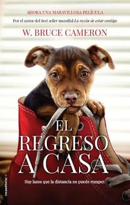 Book cover for Razon de Estar Contigo, La. El Regreso a Casa (Movie Tie-In)