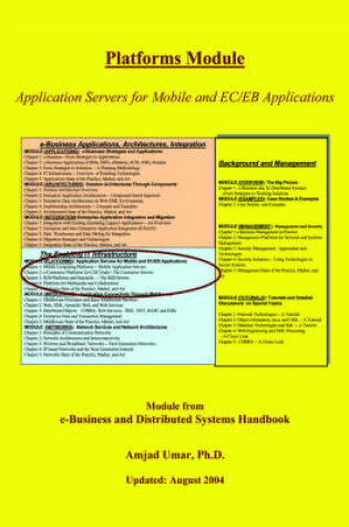 Cover of E-Business and Distributed Systems Handbook