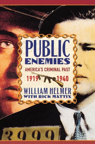 Cover of Public Enemies: America's Criminals