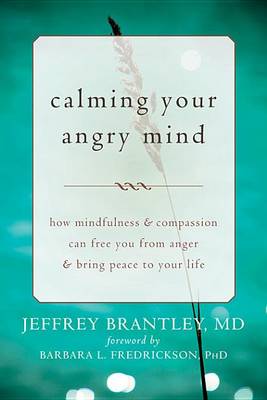 Book cover for Calming Your Angry Mind