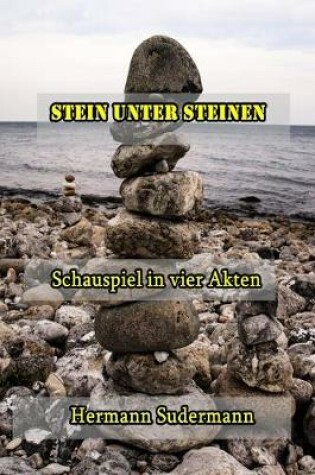 Cover of Stein unter Steinen
