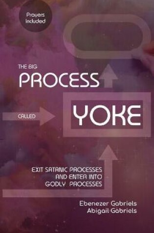 Cover of The Big Process Called Yoke