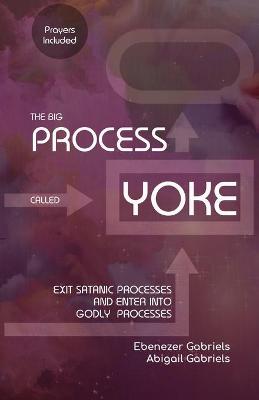 Book cover for The Big Process Called Yoke