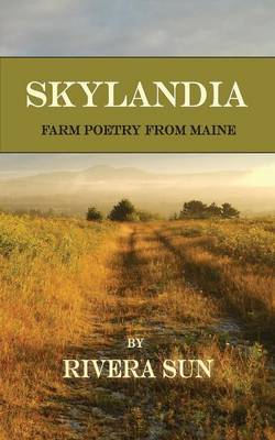 Book cover for Skylandia