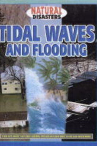 Cover of Tidal Waves and Flooding