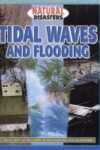 Book cover for Tidal Waves and Flooding