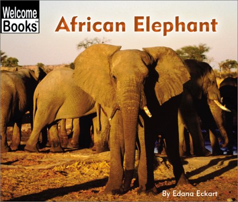 Book cover for African Elephant