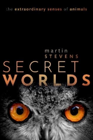 Cover of Secret Worlds