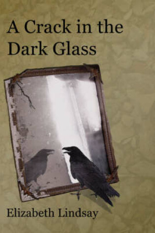 Cover of A Crack in the Dark Glass