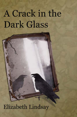 Book cover for A Crack in the Dark Glass