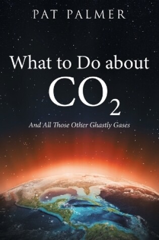 Cover of What to Do About Co2