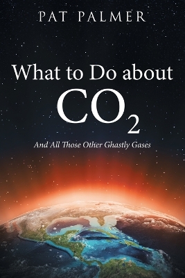 Book cover for What to Do About Co2