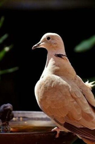 Cover of Collared Dove at a Watering Pond Journal