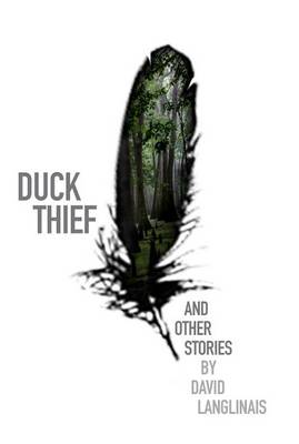 Book cover for Duck Thief & Other Stories