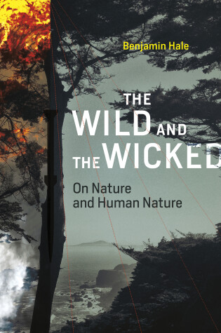 Cover of The Wild and the Wicked