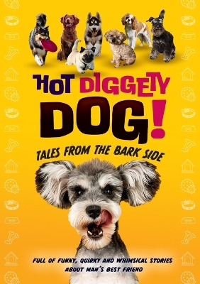 Cover of Hot Diggety Dog