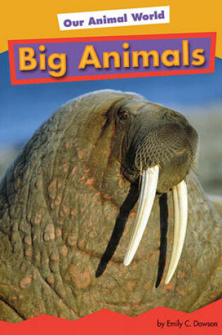 Cover of Big Animals