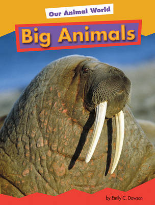 Cover of Big Animals