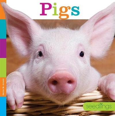 Book cover for Seedlings: Pigs