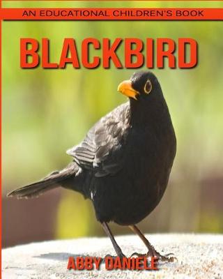 Book cover for Blackbird! An Educational Children's Book about Blackbird with Fun Facts & Photos