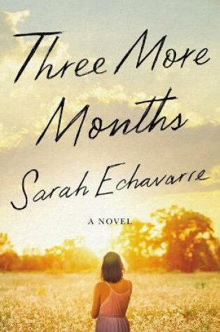 Cover of Three More Months