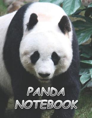 Book cover for Panda Notebook