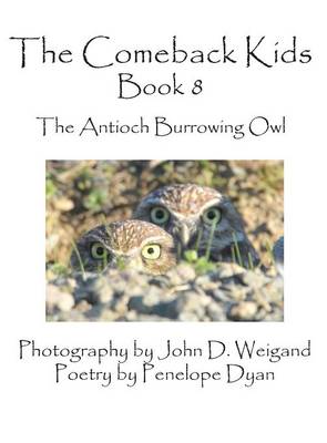 Book cover for The Comeback Kids, Book 8, the Antioch Burrowing Owl