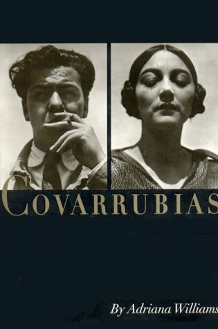 Cover of Covarrubias