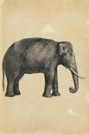 Cover of Elephantus Indicus Elephant