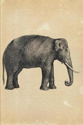 Book cover for Elephantus Indicus Elephant