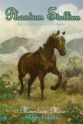 Book cover for Mountain Mare