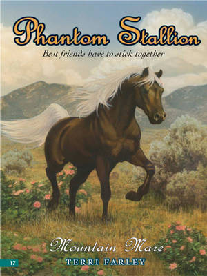 Book cover for Mountain Mare