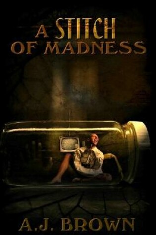 Cover of A Stitch of Madness