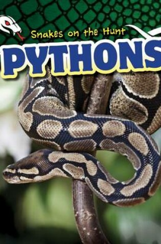 Cover of Pythons