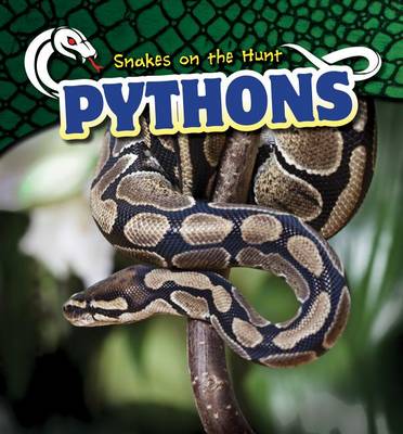 Cover of Pythons