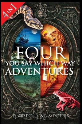 Book cover for Four You Say Which Way Adventures