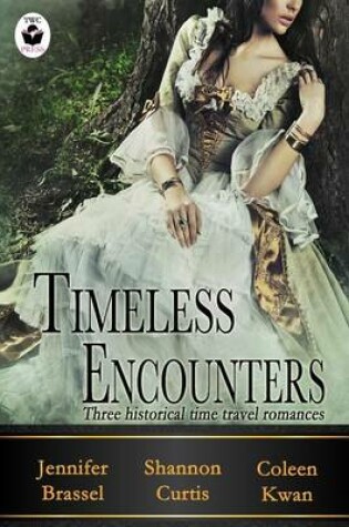 Cover of Timeless Encounters