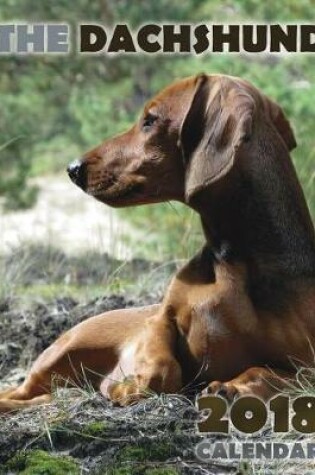 Cover of The Dachshund 2018 Calendar (UK Edition)