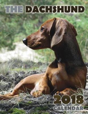 Book cover for The Dachshund 2018 Calendar (UK Edition)