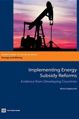 Cover of Implementing Energy Subsidy Reforms