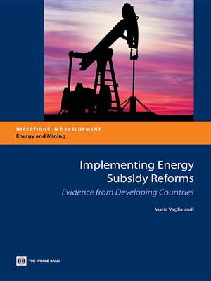 Book cover for Implementing Energy Subsidy Reforms