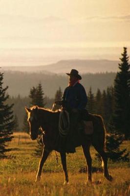 Book cover for Journal Western Horse Under Saddle Equine