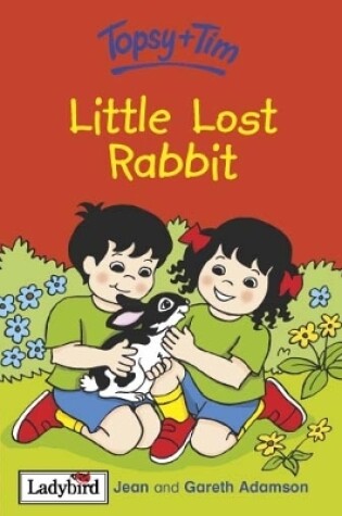 Cover of Little Lost Rabbit