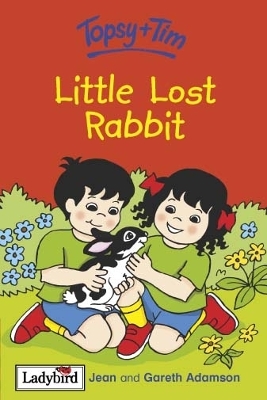 Book cover for Little Lost Rabbit